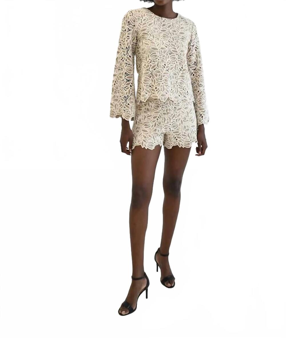 NEW NEVER A WALLFLOWER camilla top in grey lace
